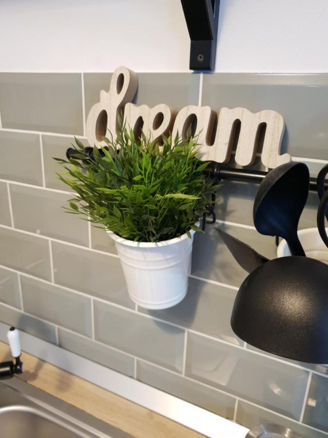 Dream Apartment Petroszany Zewnętrze zdjęcie